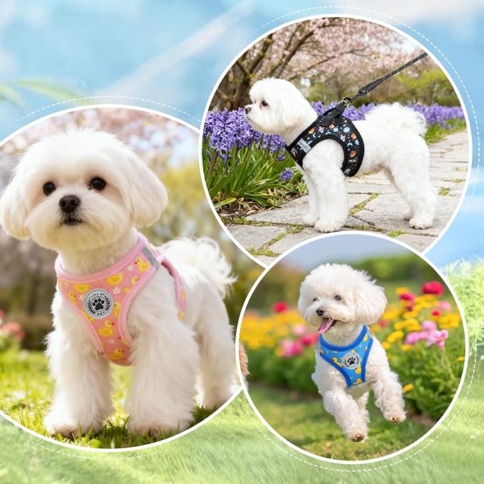BEAUTYZOO Dog Harness Medium Sized and Leash Set, Step-in Soft Padded Mesh - Image 3