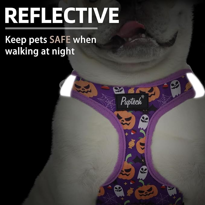 PUPTECK Dog Harness and Leash Set - Image 4