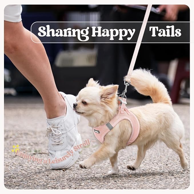 rabbitgoo Dog Harness Small Medium Sized and Leash Set, Step in Soft Light - Image 9