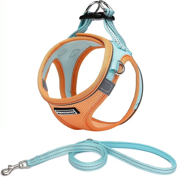 Mercano Soft Mesh Dog Harness and Leash Set, No-Chock Step-in Reflective by Unknown