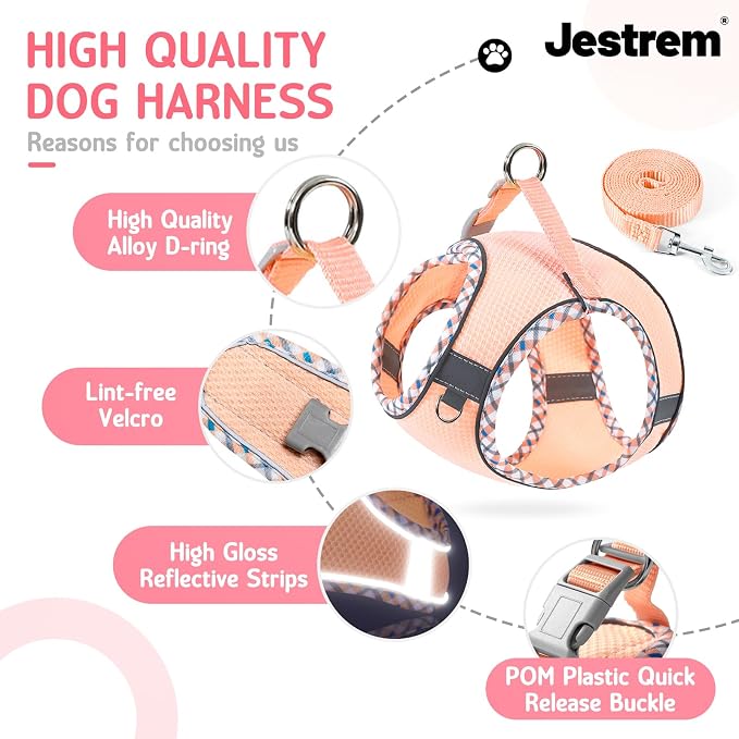 XXS Cat Harness and Leash Set - Image 6