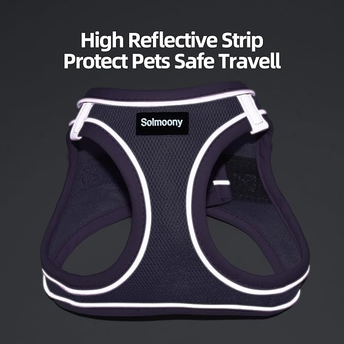 Solmoony Sparkly XXXS Dog Harness and Leash Set, Step in Soft Light Puppy Vest - Image 8