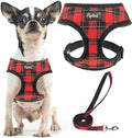 PUPTECK Soft Mesh Dog Harness and Leash Set Pet Puppy Cat Comfort Padded Vest by PUPTECK