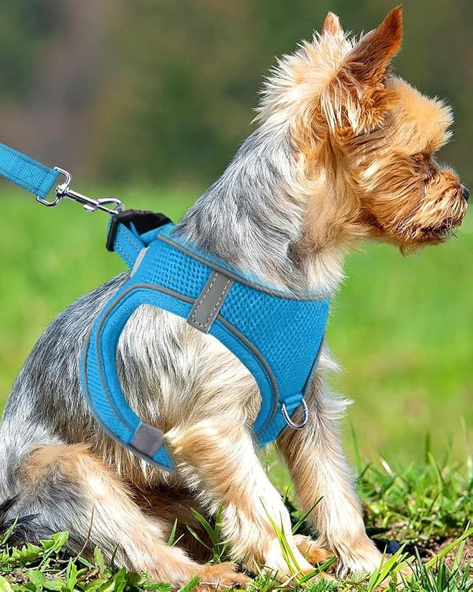 Joytale Small Dog Harness, Breathable Mesh Step-in Vest, Reflective Soft Padded - Image 2
