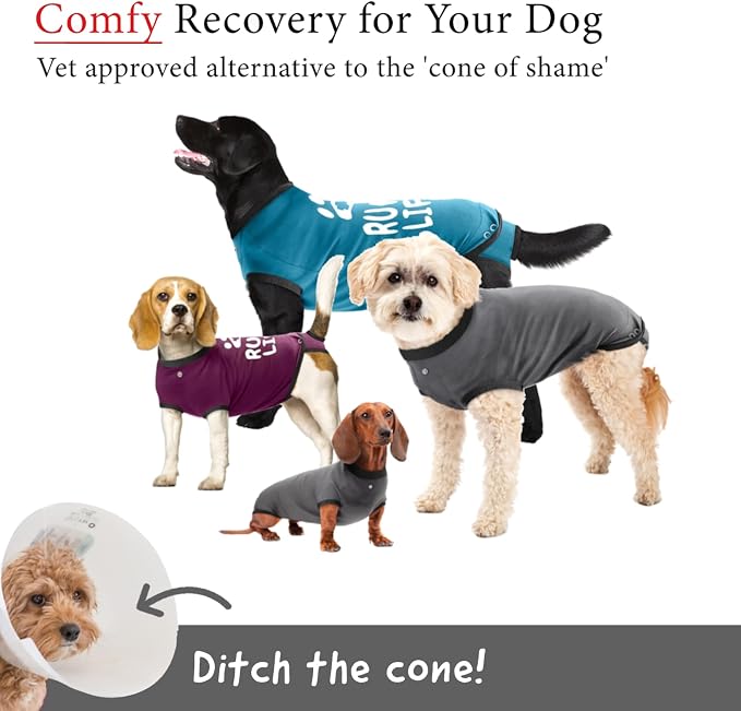 BellyGuard Dog Surgery Recovery Suit, Dog Onesie - Image 2