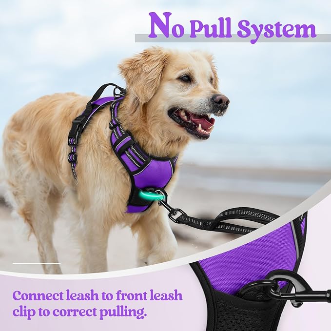rabbitgoo Dog Harness No Pull - Image 5
