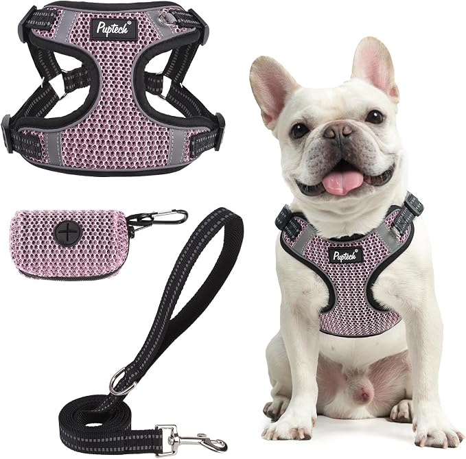 PUPTECK Dog Harness and Leash Set Medium Sized, Step in No Pull Adjustable by PUPTECK