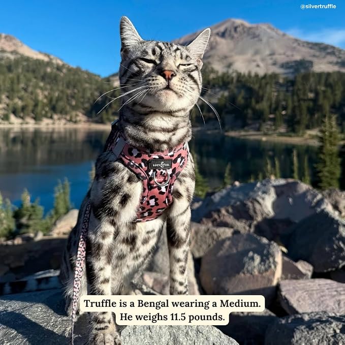 Lucy & Co. Wild Side Step-in Cat Harness & Leash Bundle – Reflective, - Image 7