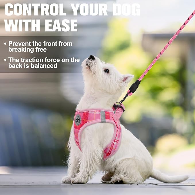 BEAUTYZOO Small Dog Harness and Leash Set, Step in No Choke No Pull Soft Mesh - Image 7