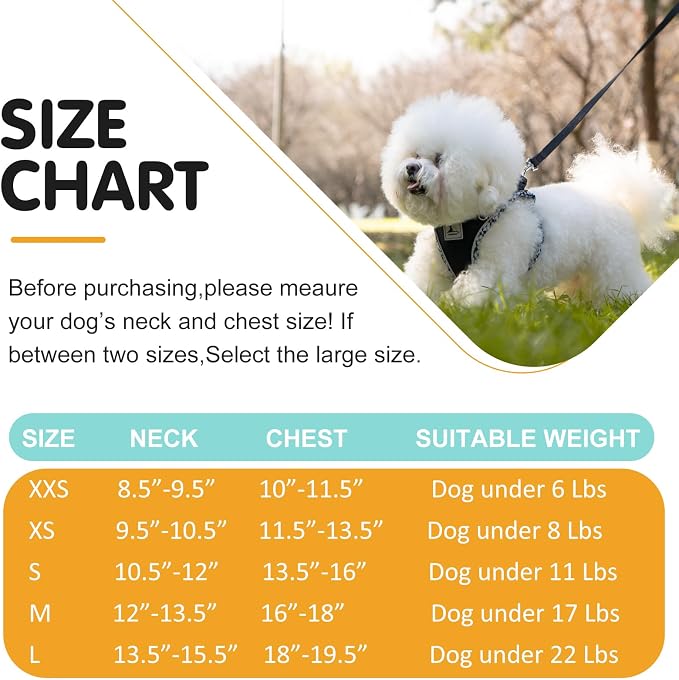 Dog Harness and Leash Set, No Pull Pet Harness - Image 6