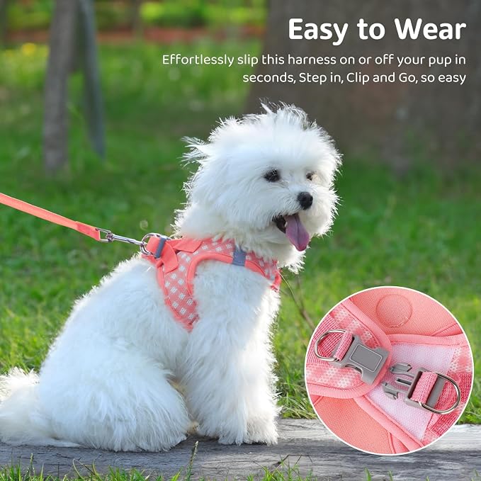 Gyuzh Dog Harness and Leash Set, Soft Mesh Breathable Small Dog Harness - Image 4