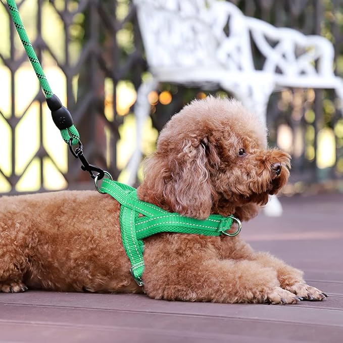 Plutus Pet No Pull Dog Harness - Image 5
