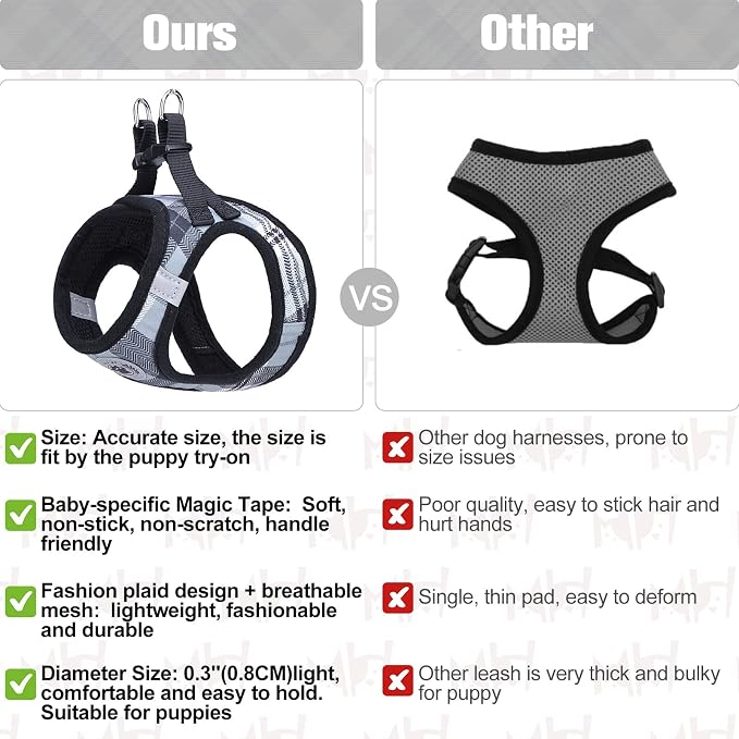 BEAUTYZOO Small Dog Harness and Leash Set, Step in No Choke No Pull Soft Mesh - Image 5