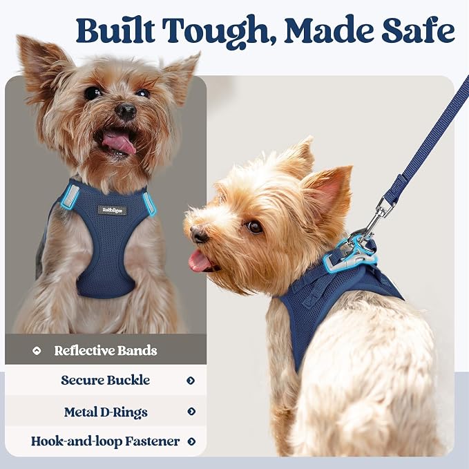 rabbitgoo Dog Harness Small Sized and Leash Set, Step in Soft Light Puppy Vest - Image 7