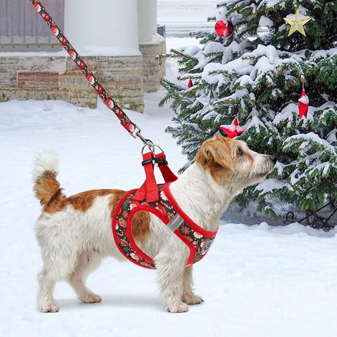 KOOLTAIL Christmas Dog Harness for Small Medium Dogs, Dog Harness and Leash Set - Image 6