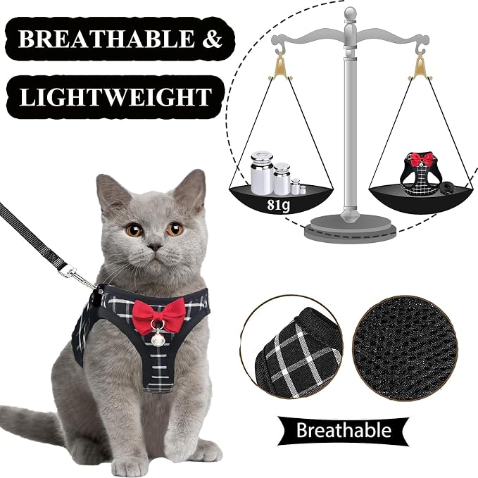 Cat Leash and Harness Set, Breathable Dog Harness, Pet Harness, Adjustable Mesh - Image 3