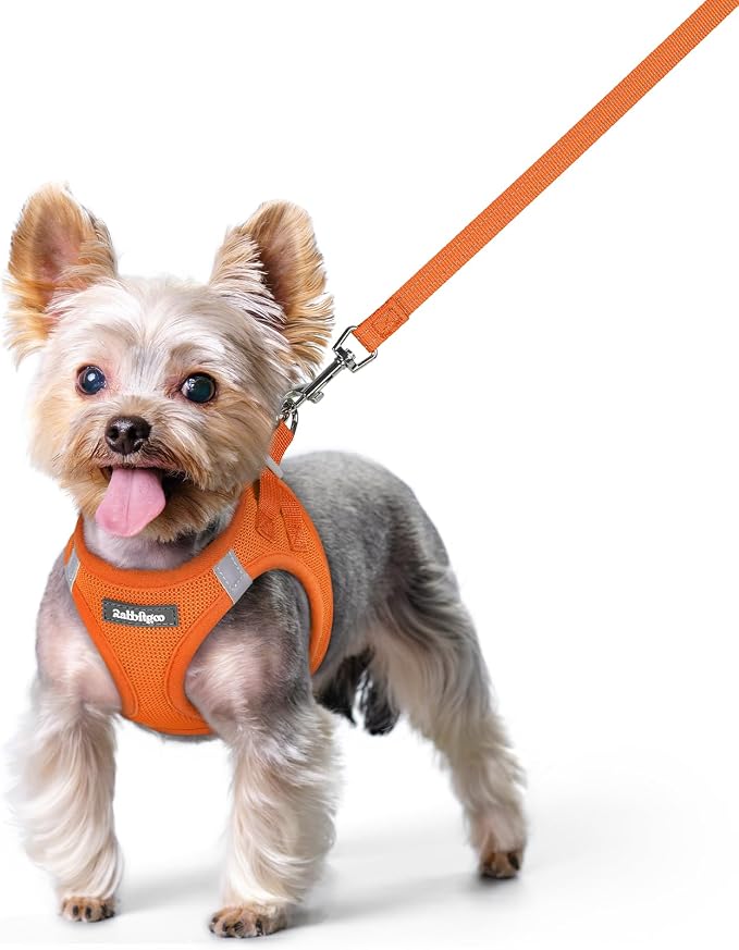 rabbitgoo Dog Harness Small Sized and Leash Set, Step in Soft Light Puppy Vest by rabbitgoo