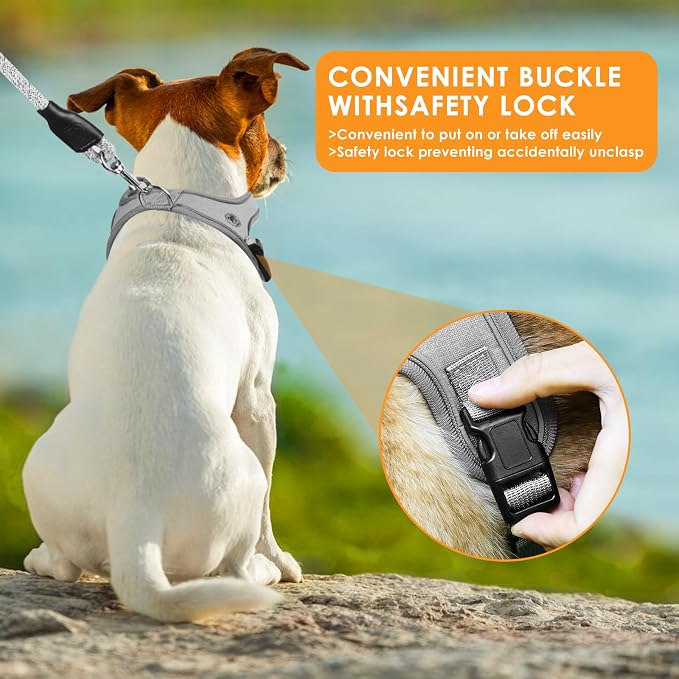 Dog Harness and Leash Set, No Pull Saddle Style Pet Harness, Breathable Mesh - Image 4
