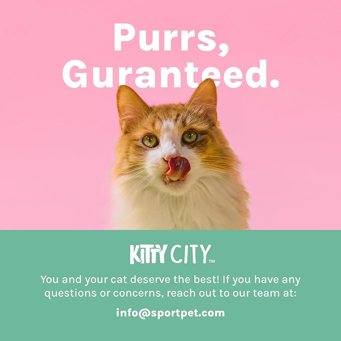 Kitty City Outdoor Catio Furniture and Play Kits - Image 6