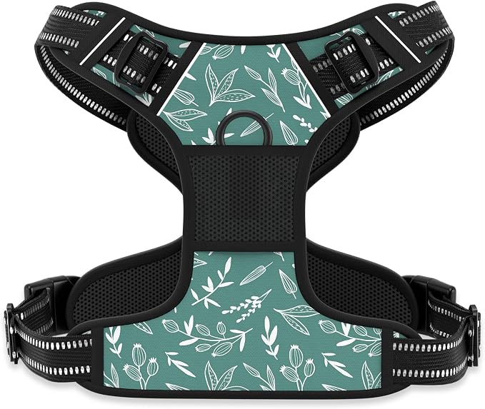 Rnivvi No Pull Dog Harness, Cute Reflective Small Sized Puppy Kitten Harness by Rnivvi