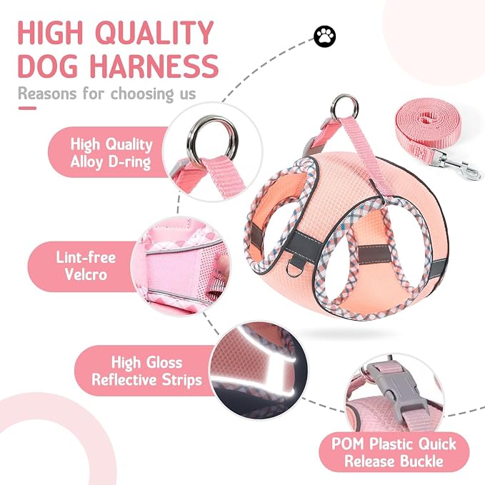 Cat Harness and Leash Set - Image 2