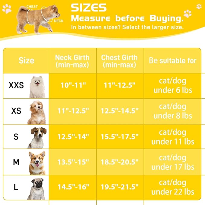 Soft Mesh Dog Harness and Leash Set, No Pull Puppy Harness and Leash Set - Image 4