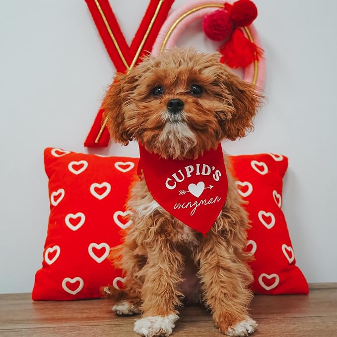 Cupid's Wingman Valentine's Day Dog Bandana - Image 2