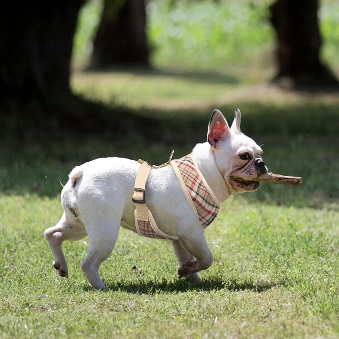 PUPTECK Soft Mesh Dog Harness and Leash Set Pet Puppy Cat Comfort Padded Vest - Image 7