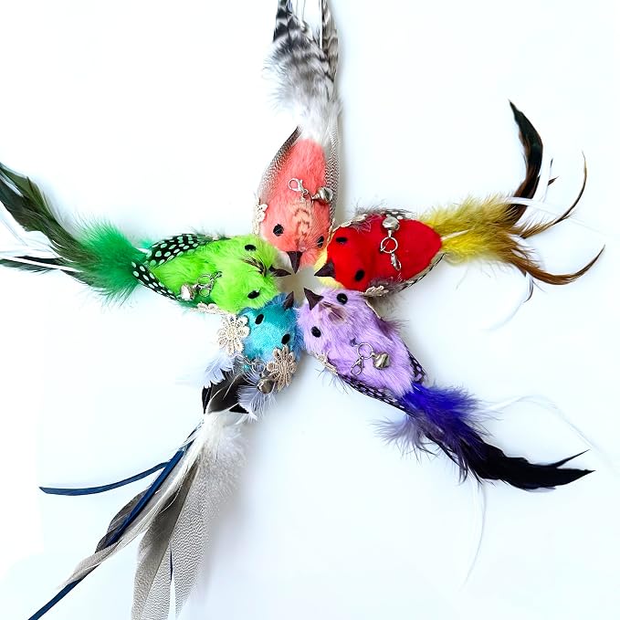 Cat Wand Toy, 6 Pieces Interactive Cat Wand Bird Feather Toys - Image 5