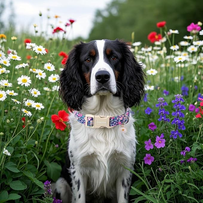 Lionet Paws Floral Dog Collar- Cute Spring Wildflowers Daisy Fleabane Dog - Image 3