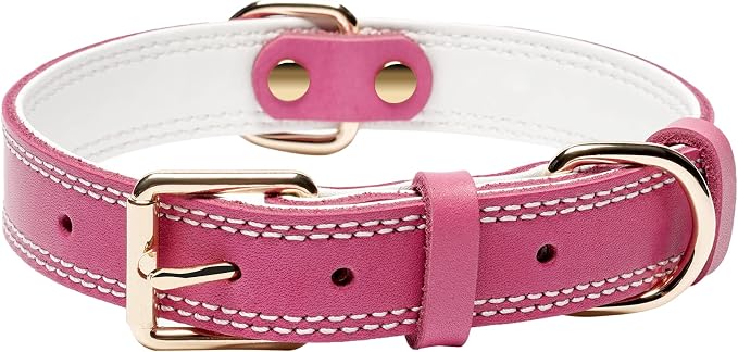 Genuine Leather Dog Collar, Heavy Duty Wide Dog Collar by DAIHAQIKO