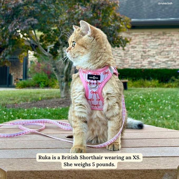 Lucy & Co. Take a Bow Step-in Cat Harness & Leash Bundle – Reflective, - Image 7