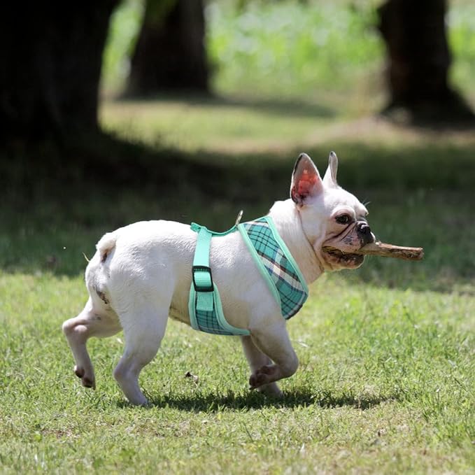 PUPTECK Soft Mesh Dog Harness and Leash Set Pet Puppy Cat Comfort Padded Vest - Image 6