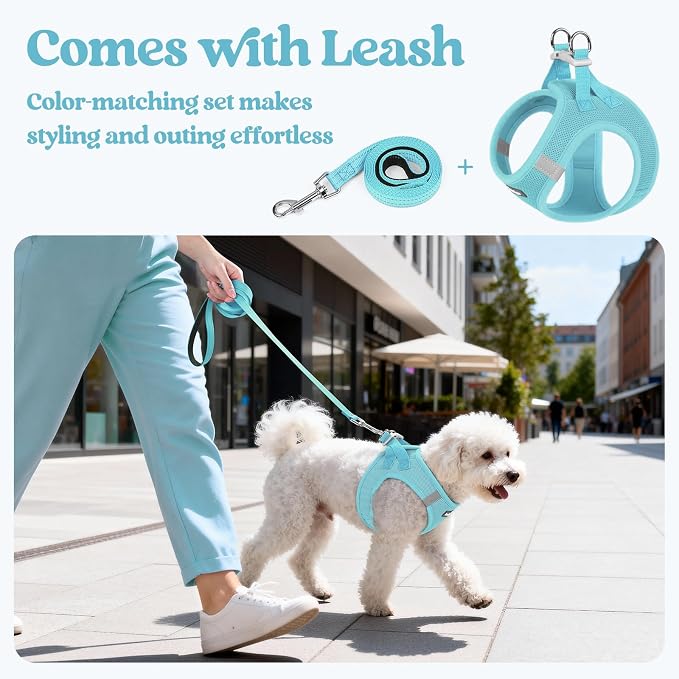 rabbitgoo Dog Harness Small Medium Sized and Leash Set, Step in Soft Light - Image 5