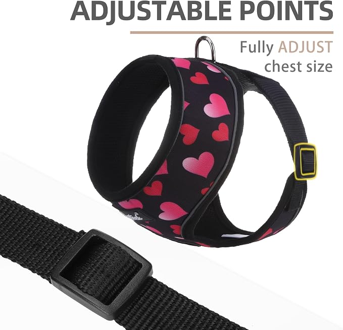 PUPTECK Soft Mesh Dog Harness and Leash Set Pet Puppy Cat Comfort Padded Vest - Image 3