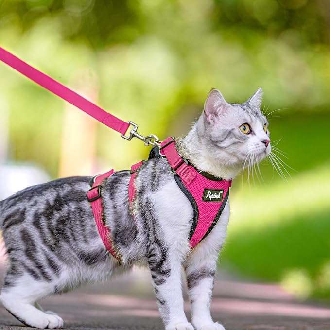 PUPTECK Cat Harness and Leash Set Escape Proof - Image 6
