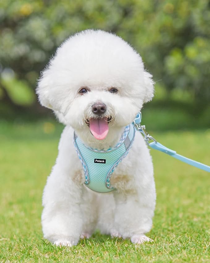 Petank Dog Harness for Small Medium Dogs No Pull, Puppy Harness and Leash Set - Image 2