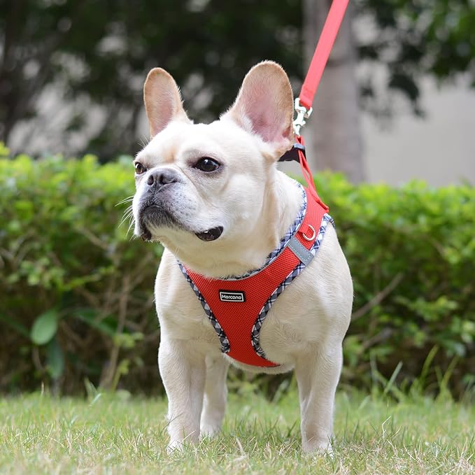 Mercano Soft Mesh Dog Harness and Leash Set, No-Chock Step-in Reflective - Image 4