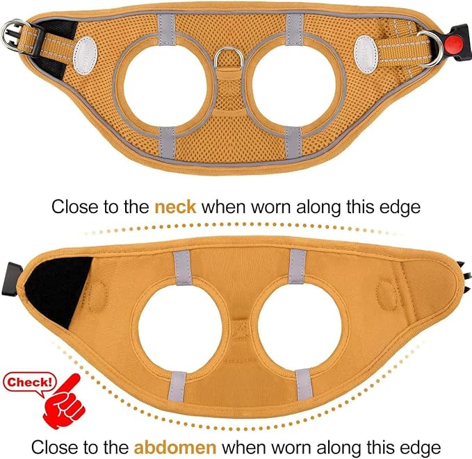 Joytale Small Dog Harness, Breathable Mesh Step-in Vest, Reflective Soft Padded - Image 6