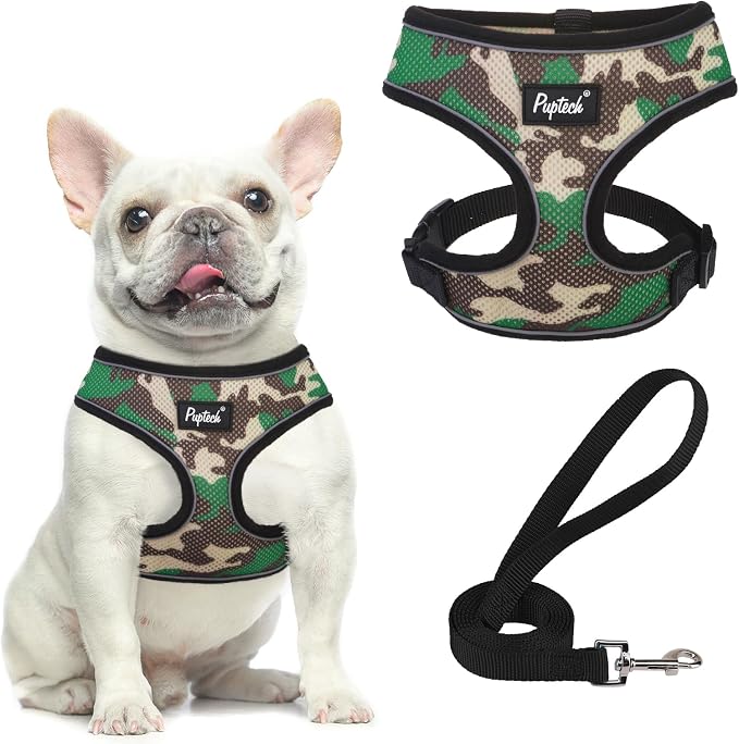 PUPTECK Soft Mesh Dog Harness and Leash Set Pet Puppy Cat Comfort Padded Vest by PUPTECK