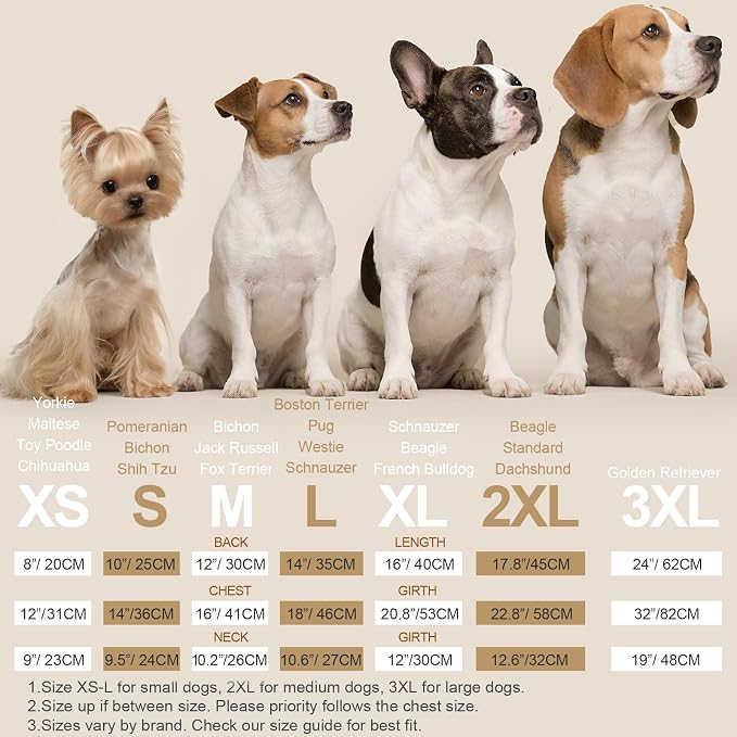 XPUDAC 4 Pieces Dog Pajamas for Small Dogs Boy Girl Soft Stretchy Pjs Onesies - Image 5