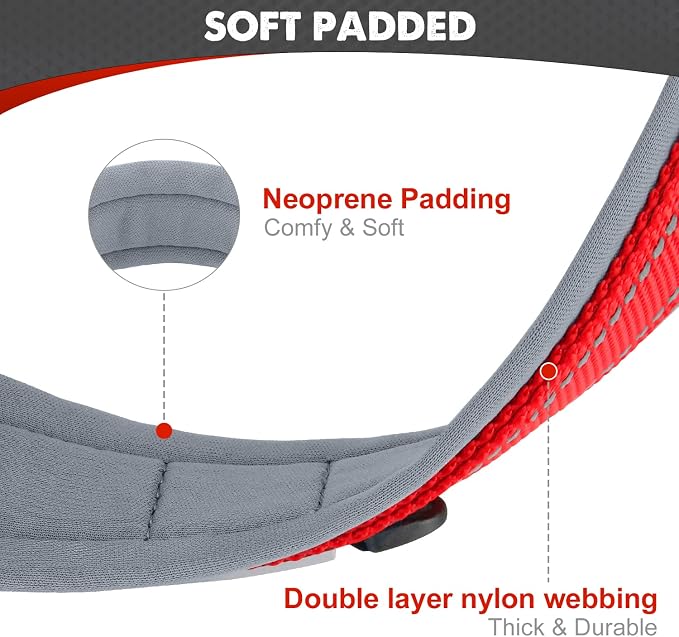 Joytale Dog Collar for Extra Large Dogs, Neoprene Padded and Adjustable - Image 2