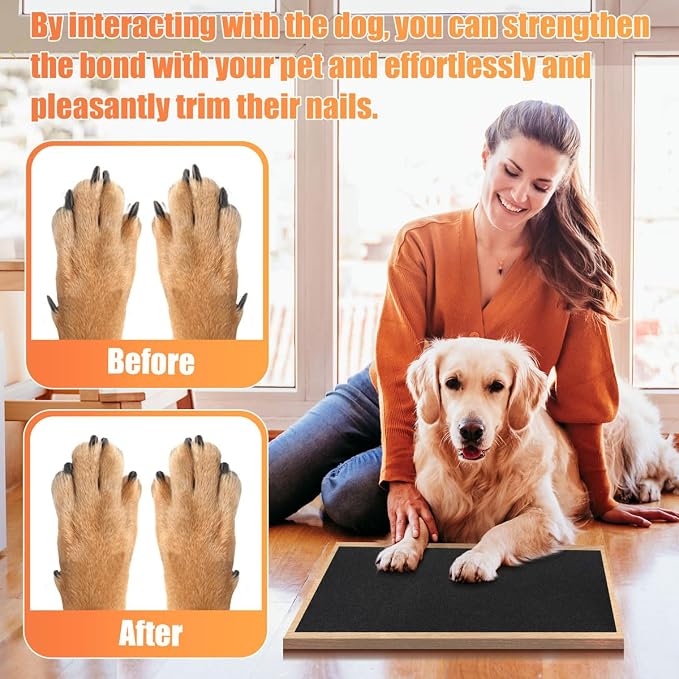 Pet Nail Self Adhesive Replacement Emery Paper Suitable - Image 4