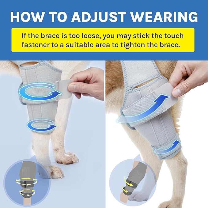 Dog Knee Brace for Torn ACL & Hind Leg Support – Adjustable Dog Hip & Leg Brace - Image 6
