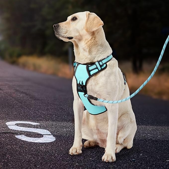 IVY&LANE No Pull Dog Harness - Image 7