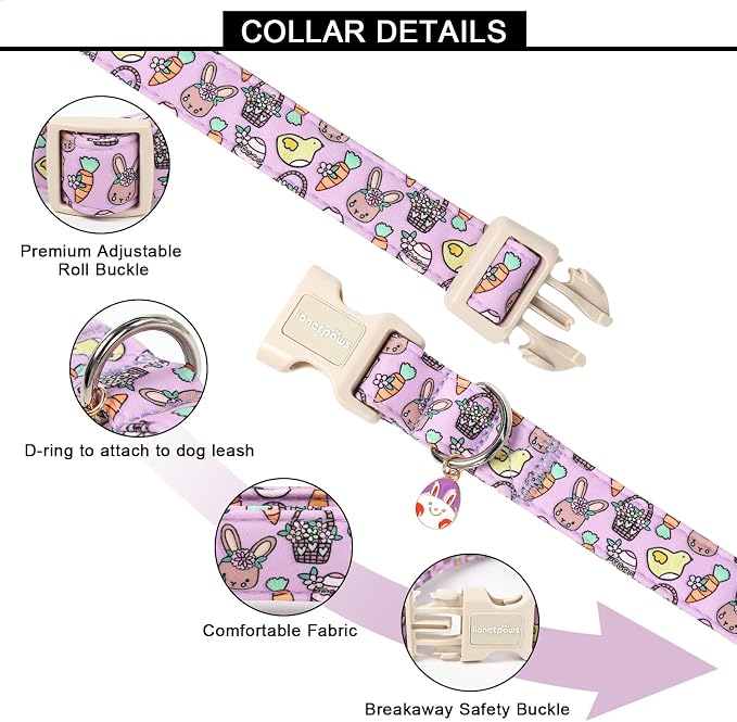 Lionet Paws Easter Dog Collar- Cute Easter Egger Bunny Purple Dogs Collars - Image 3