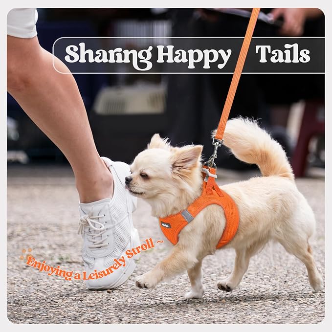 rabbitgoo Dog Harness Small Sized and Leash Set, Step in Soft Light Puppy Vest - Image 9