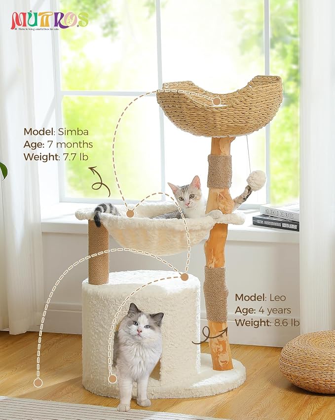 Modern Cat Tree for Large Cats, Wood Cat Tower for Indoor Cats, Real Branch - Image 7