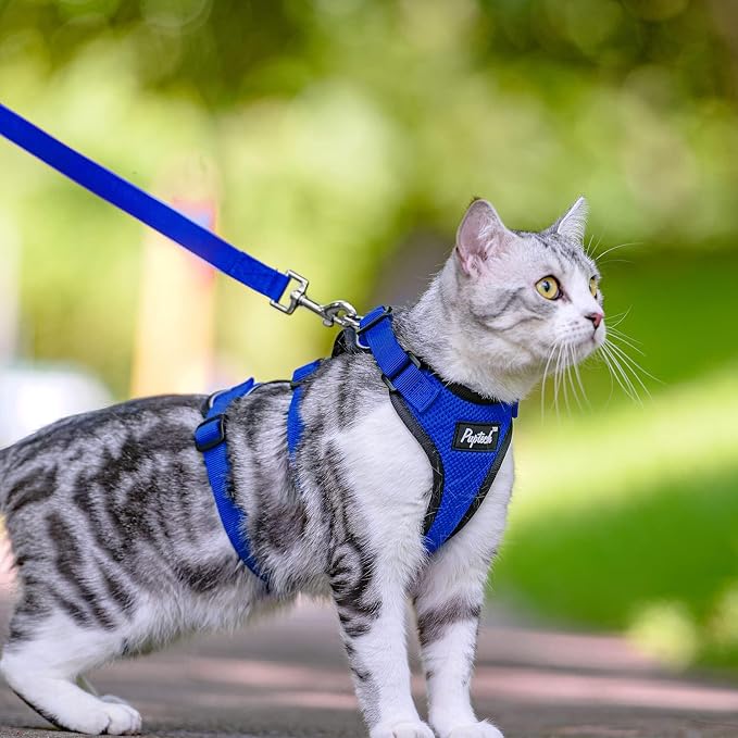 PUPTECK Cat Harness and Leash Set Escape Proof - Image 6