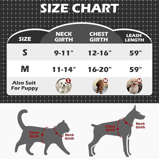 EXPAWLORER Cat Harness and Leash Set - Image 2